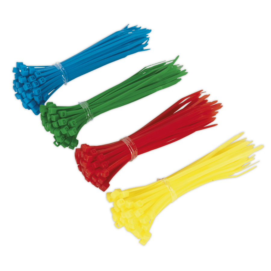 Cable Tie 100 x 2.5mm Pack of 200 Anvil Tool