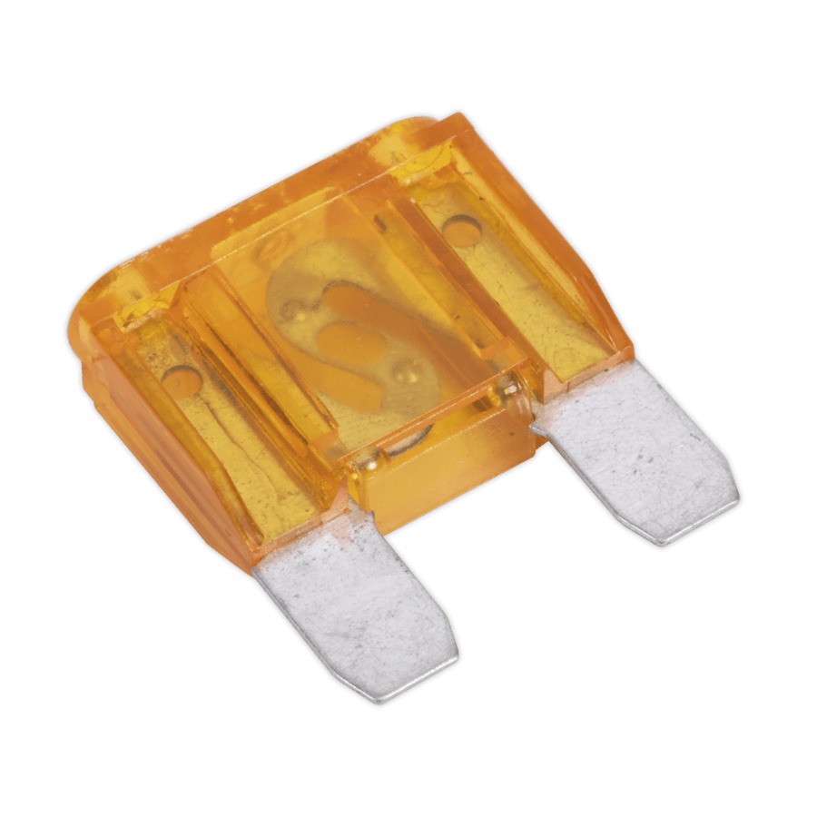 Automotive MAXI Blade Fuse 40A Pack of 10 Anvil Tool