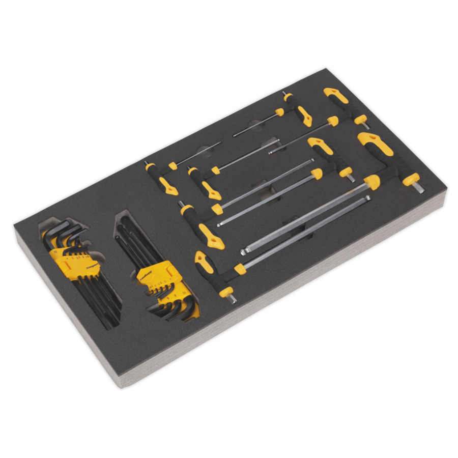 Tool Tray with THandle & Standard Hex Key Sets 26pc Anvil Tool