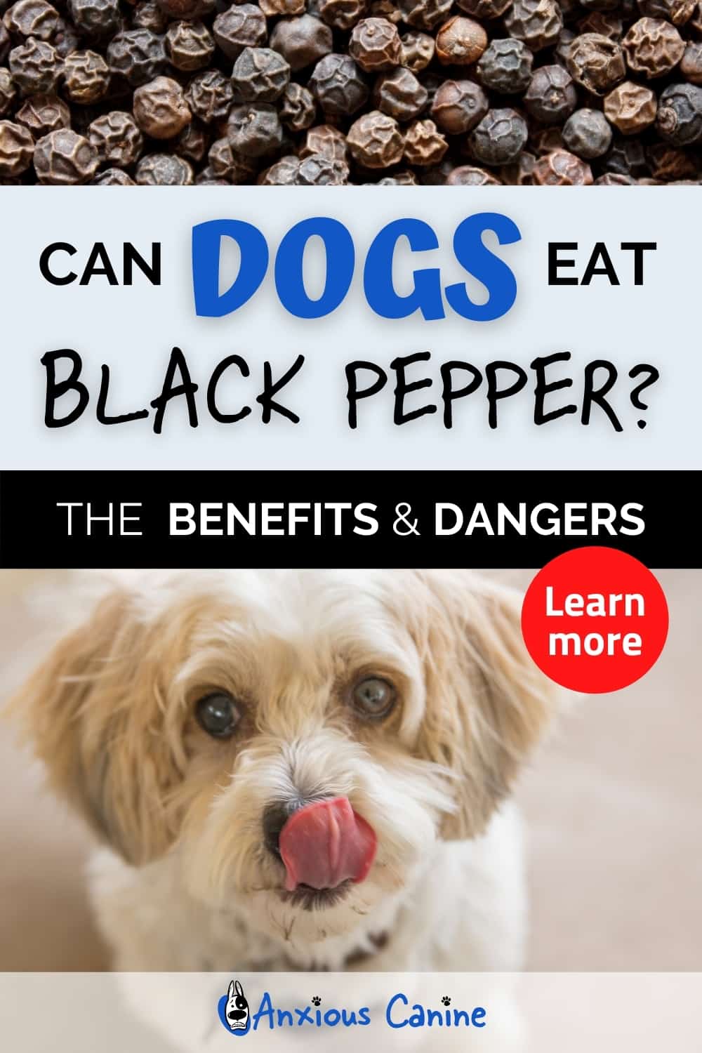 Can Dogs Eat Black Pepper?