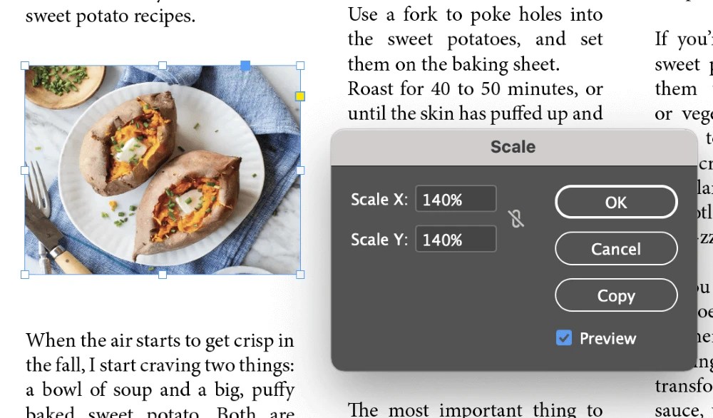How to Resize an Image in Adobe InDesign (2 Methods)