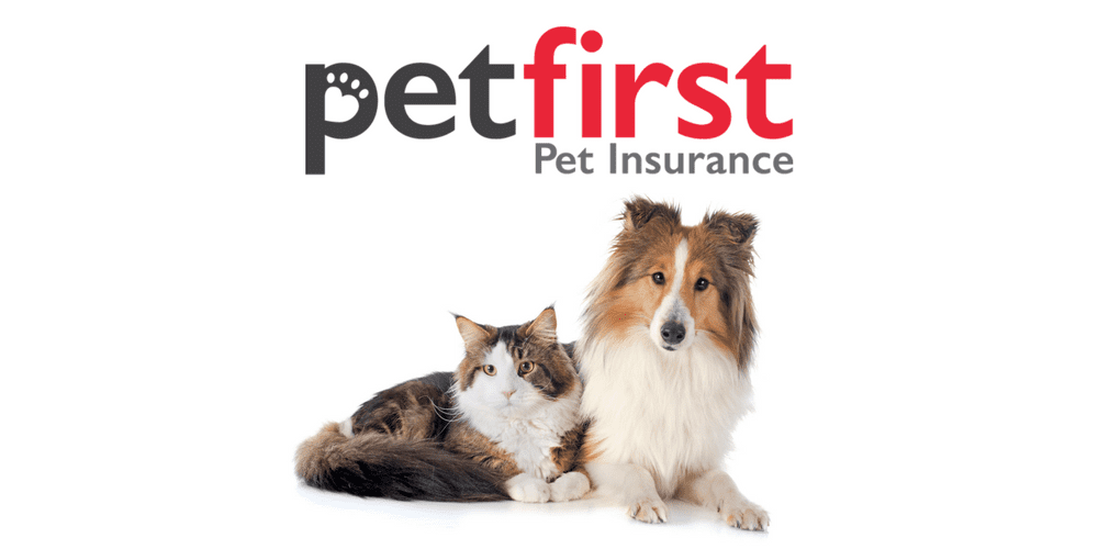 The Best Pet Insurance for German Shepherds