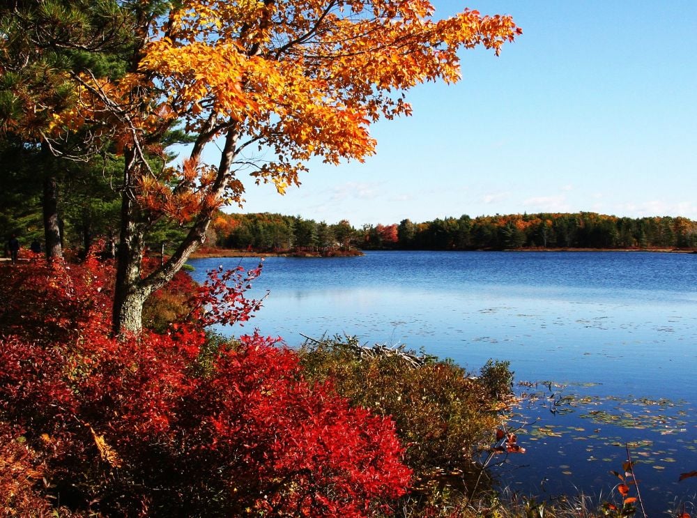 Events In Maine October 2024 🍂 Best Time to Visit Maine [Weather, Crowds, Coastal Towns]