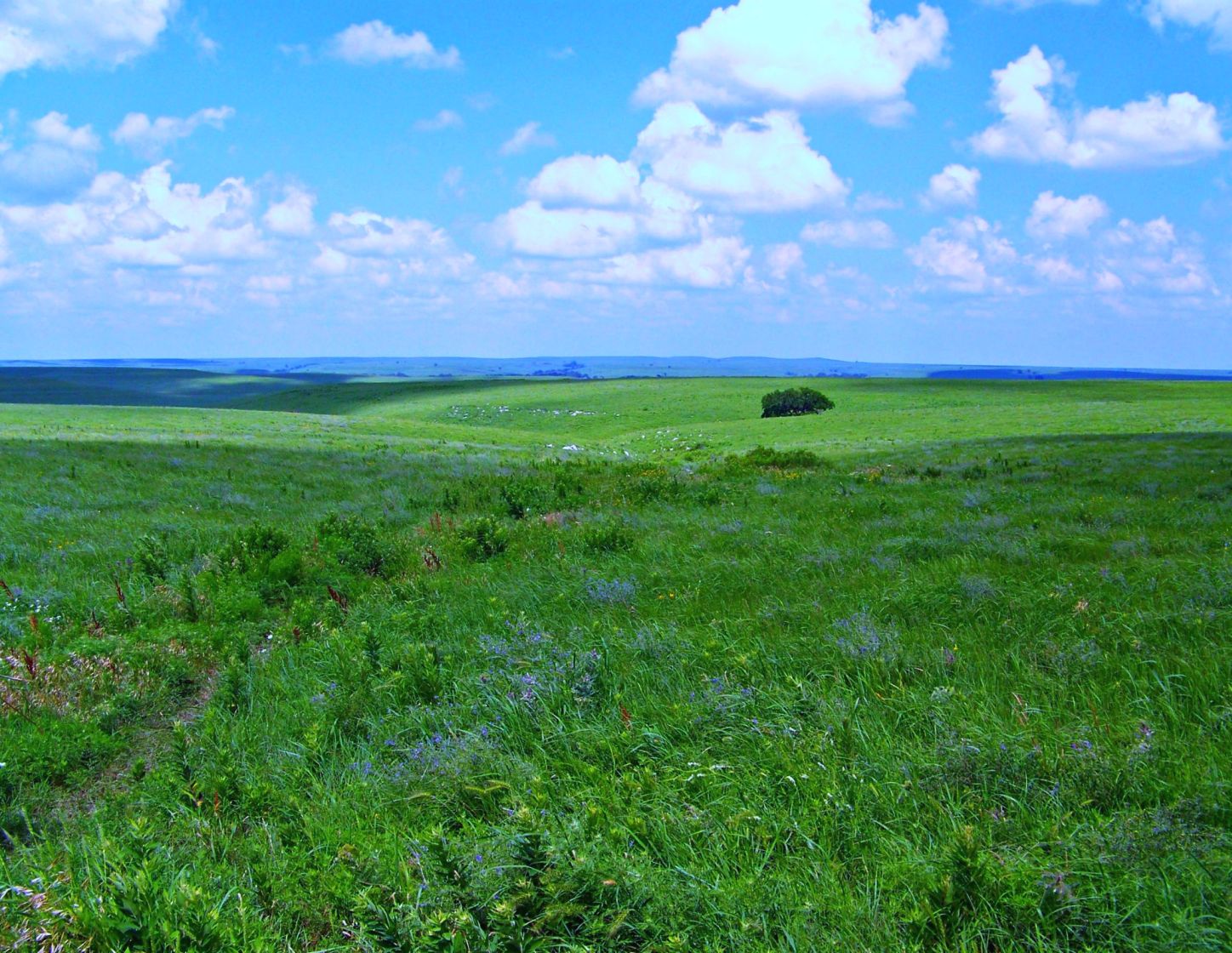 Tallgrass Prairie National Preserve