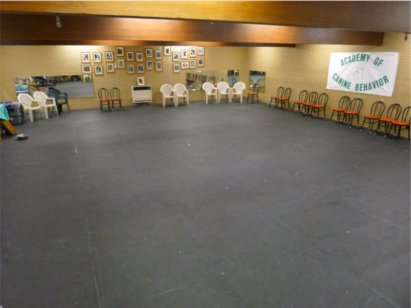 Dog Training Classes near Seattle Academy of Canine Behavior Bothell