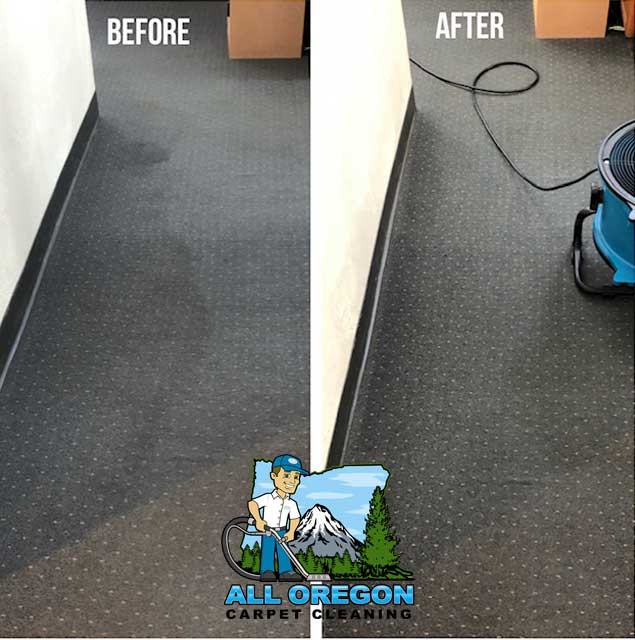Gallery All Oregon Carpet Cleaning