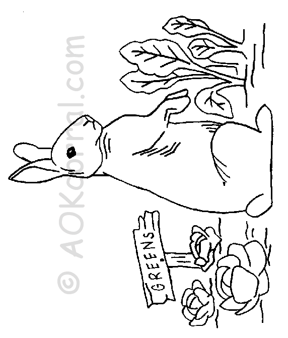 430 Embroidery redwork patterns ideas in 2022 Pinterest