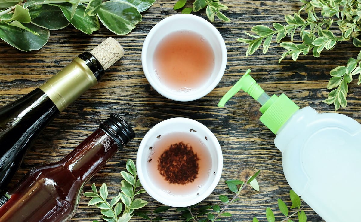 How To Get Rid Of Fruit Flies 5 Easy Ways To Get Rid Of Fruit Flies | Apartmentguide.com