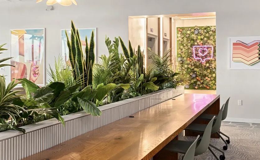 Hub Tampa Apartments in Tampa, Florida ApartmentsForBulls