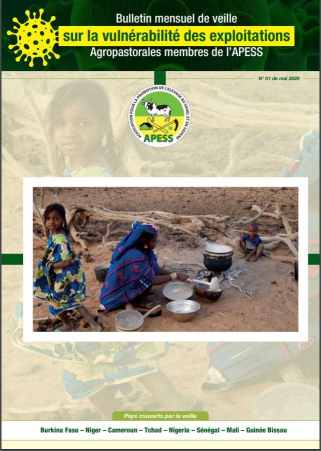 Bulletin numéro 01