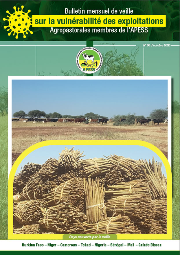 6ème Bulletin mensuel de veille sur la vulnérabilité des exploitations agropastorales membres de l’APESS.