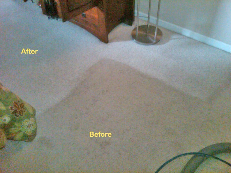 Apex Carpet CareCarpet cleaning for residential and vacation homes