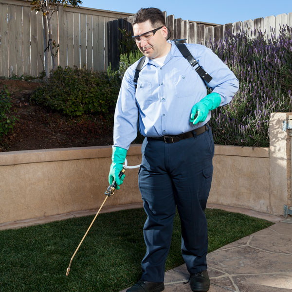 Career Opportunities at Apex Pest Control in Sacramento