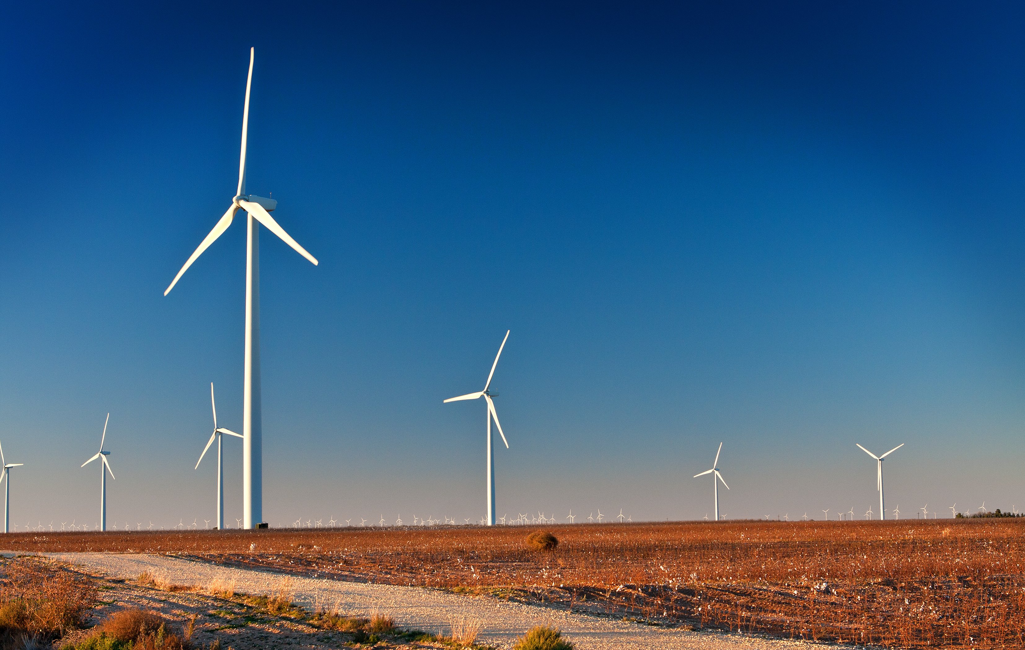 Texas Generates More Electricity From Wind Than Coal