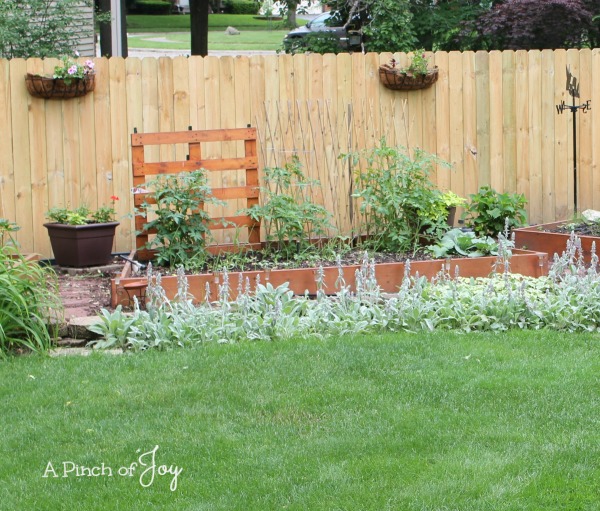 How to Squirrel Proof Your Planters A Pinch of Joy