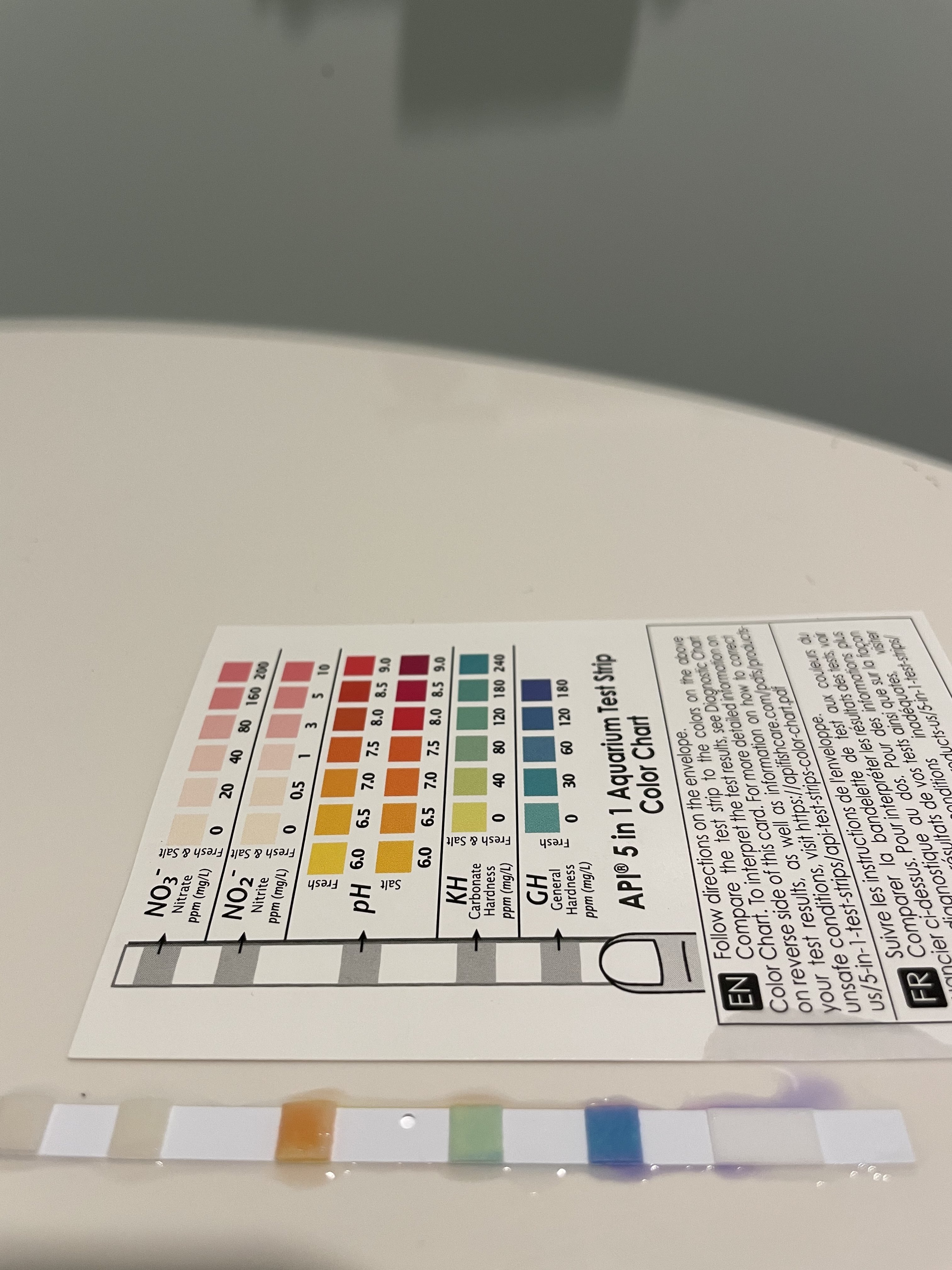 Water Changes planted tanks