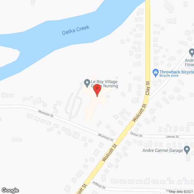 Le Roy Village Green Nursing Nursing Home Le Roy, NY 14482