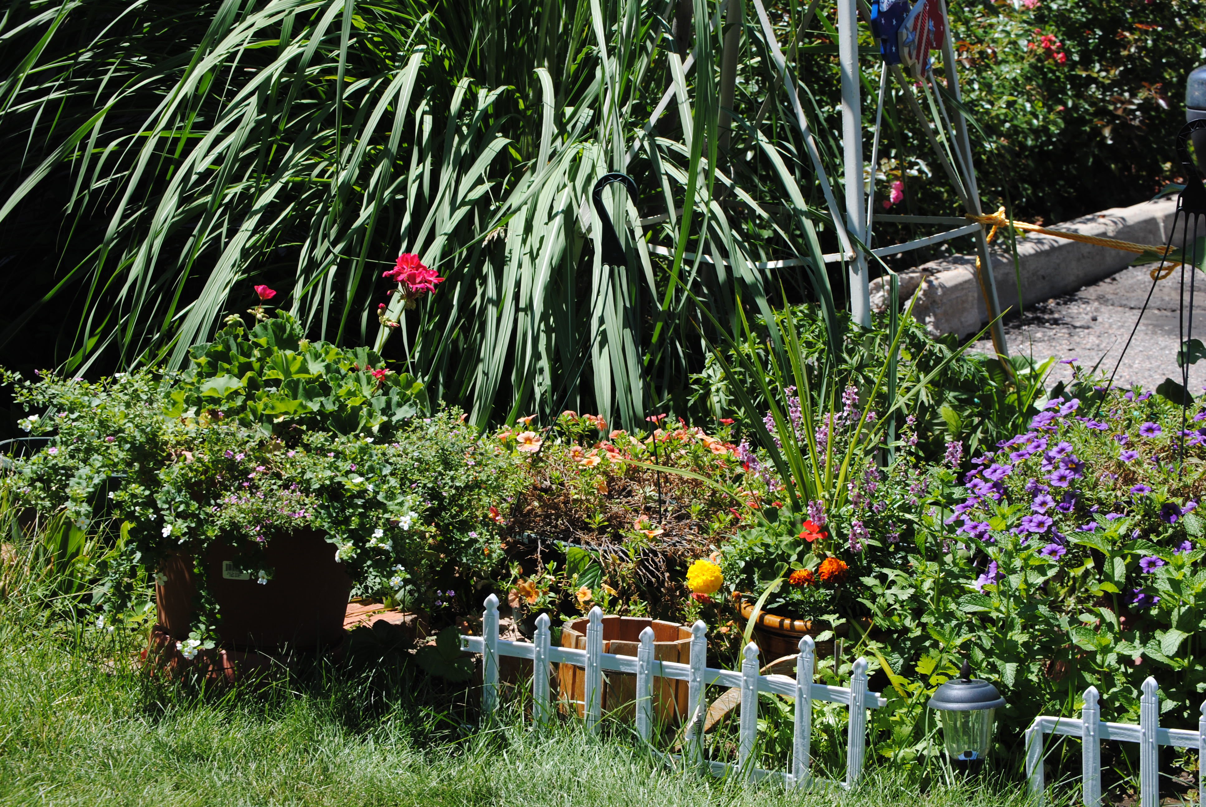 Aspen Siesta Nursing Homes Denver, CO 80222 1 review