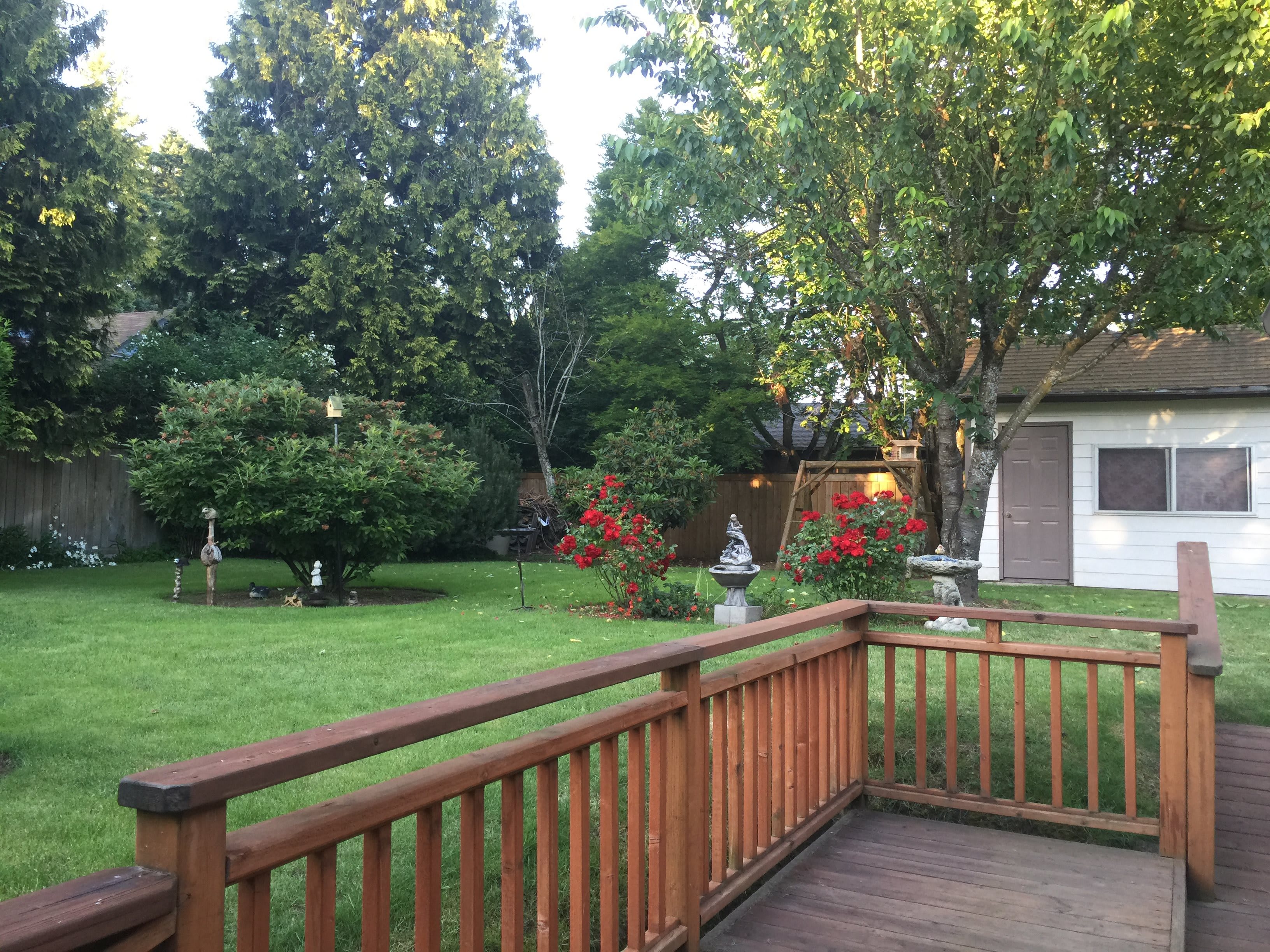 Nursing Homes In Flower Mound Tx Best Flower Site