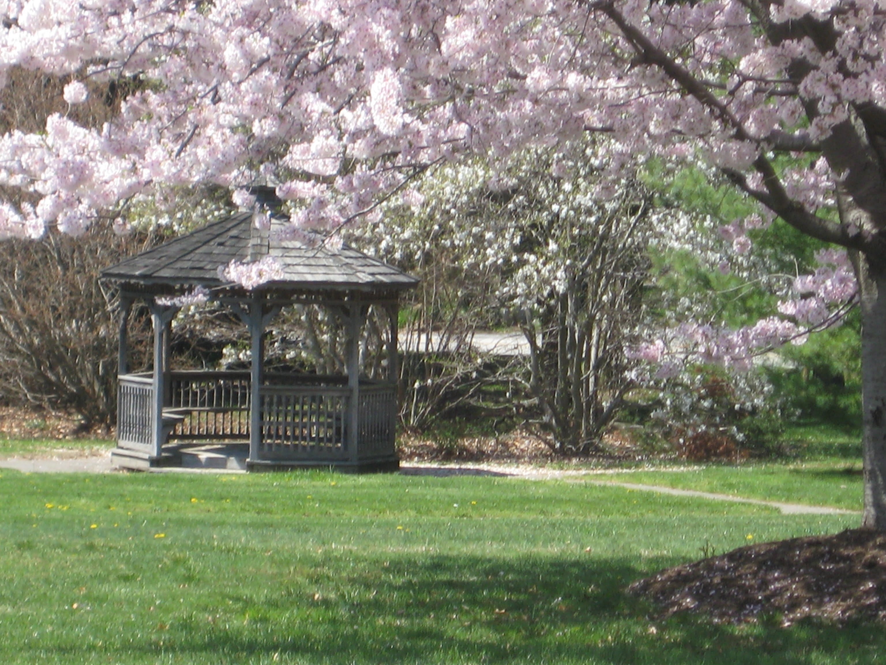 Pickersgill Retirement Community Assisted Living Towson, MD 21204