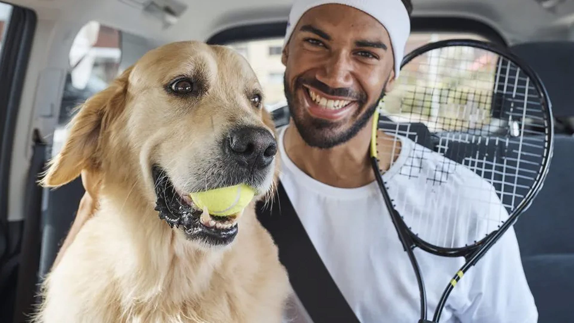 O Uber Pets permite que seu cão aproveite as vantagens dos