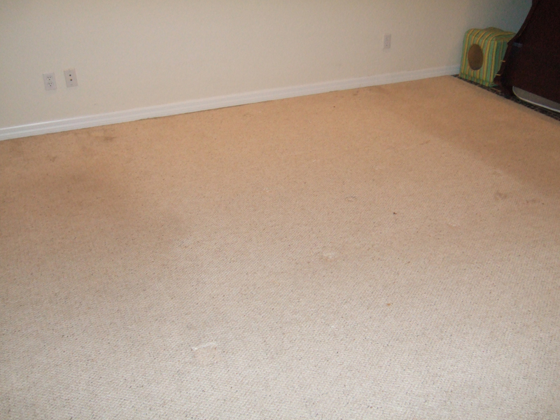 A Plus Carpet Cleaning Serving Minneola, Clermont, Groveland