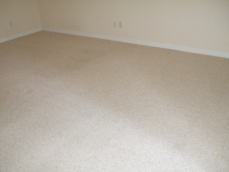 A Plus Carpet Cleaning Serving Minneola, Clermont, Groveland