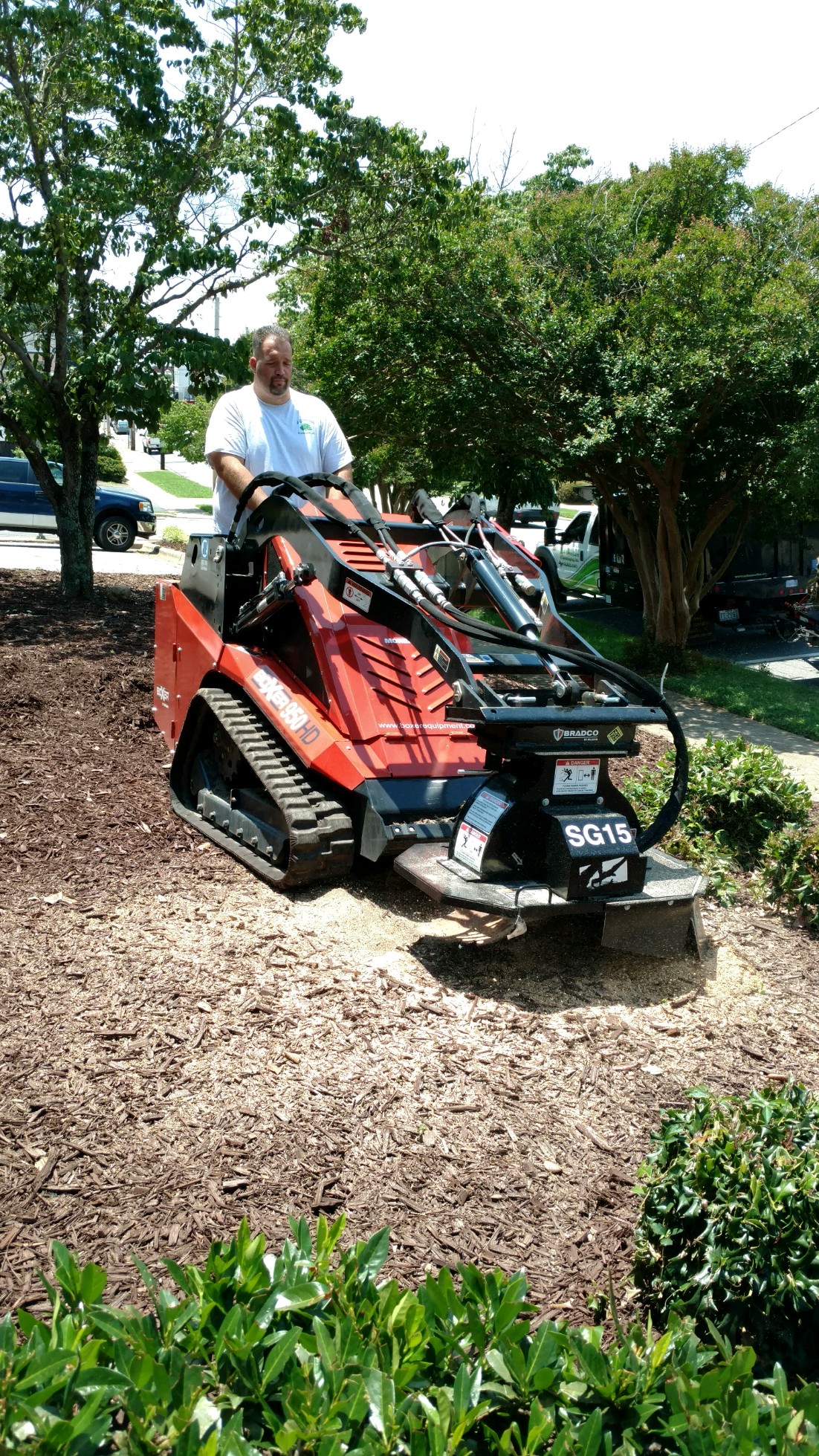 Tree Care A Plus Lawn and Landscaping Gastonia N.C.