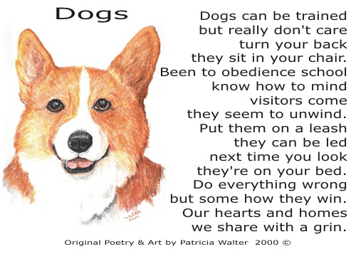 Dog Poetry 2
