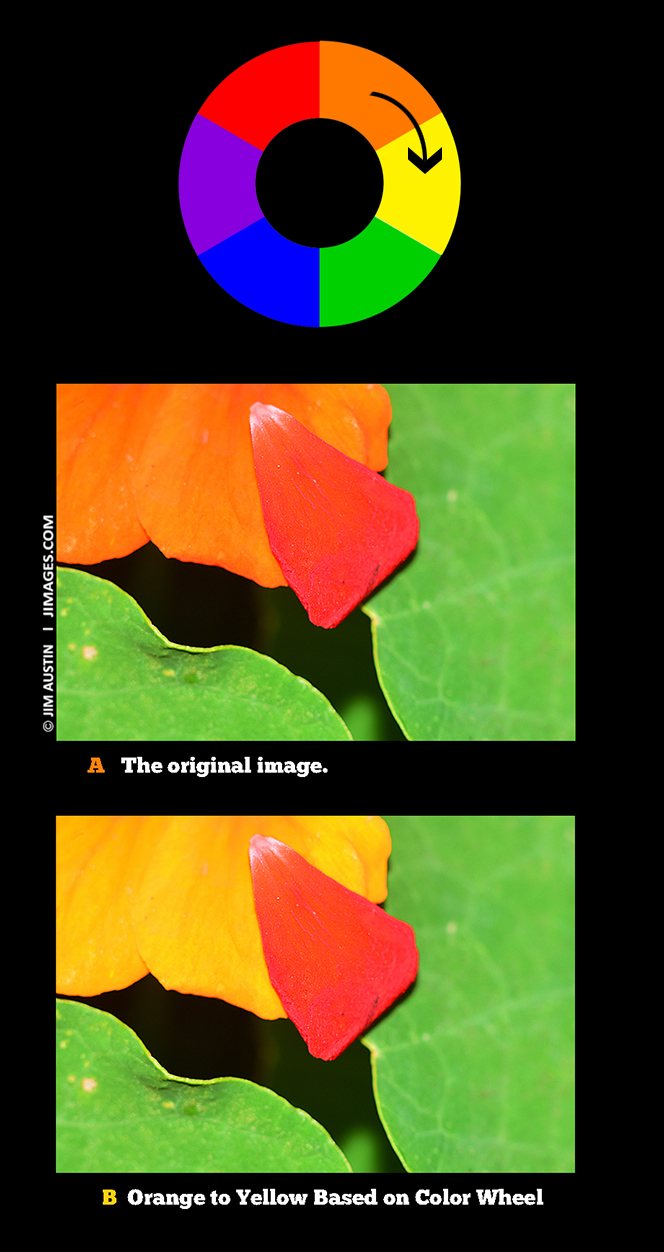 Better Color Contrast From Color Wheel Apogee Photo Magazine