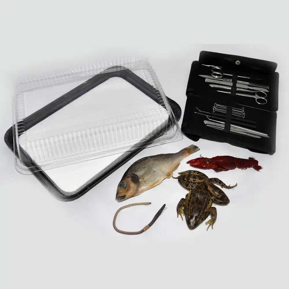 Biology Dissection Set with Specimens Apologia