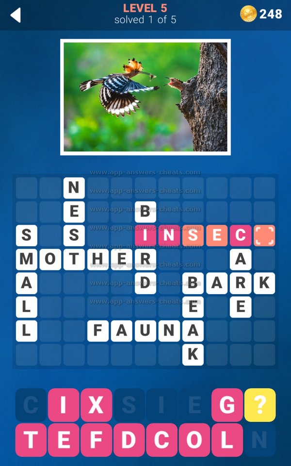 157 Photo Crosswords Level 5 App Answers & Cheats