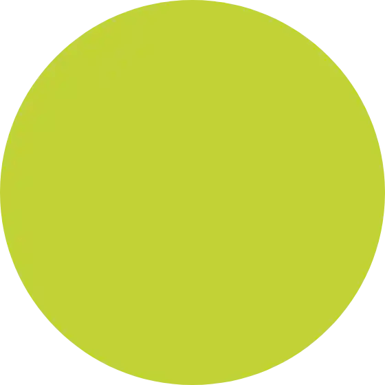 Global Internship Programme Apparel Group