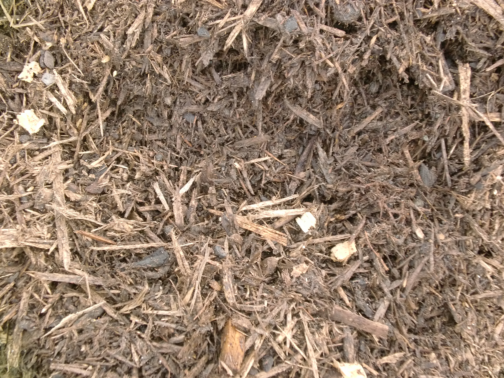 Bark and Mulch