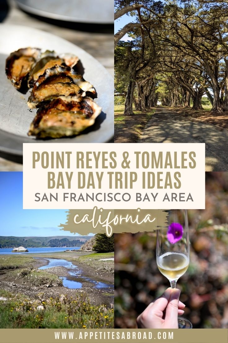ThingstoDoInPointReyesCalifornia Appetites Abroad