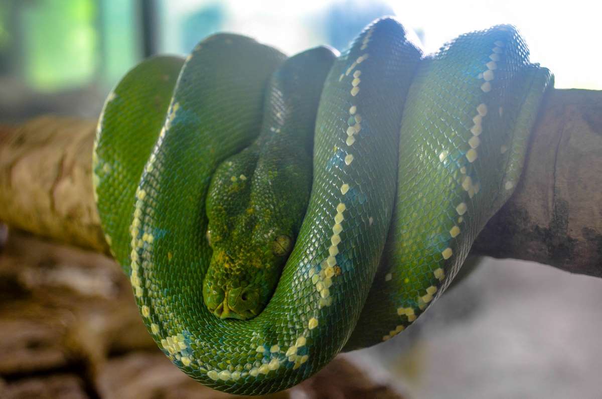 Baluarte – Appetizing Adventure