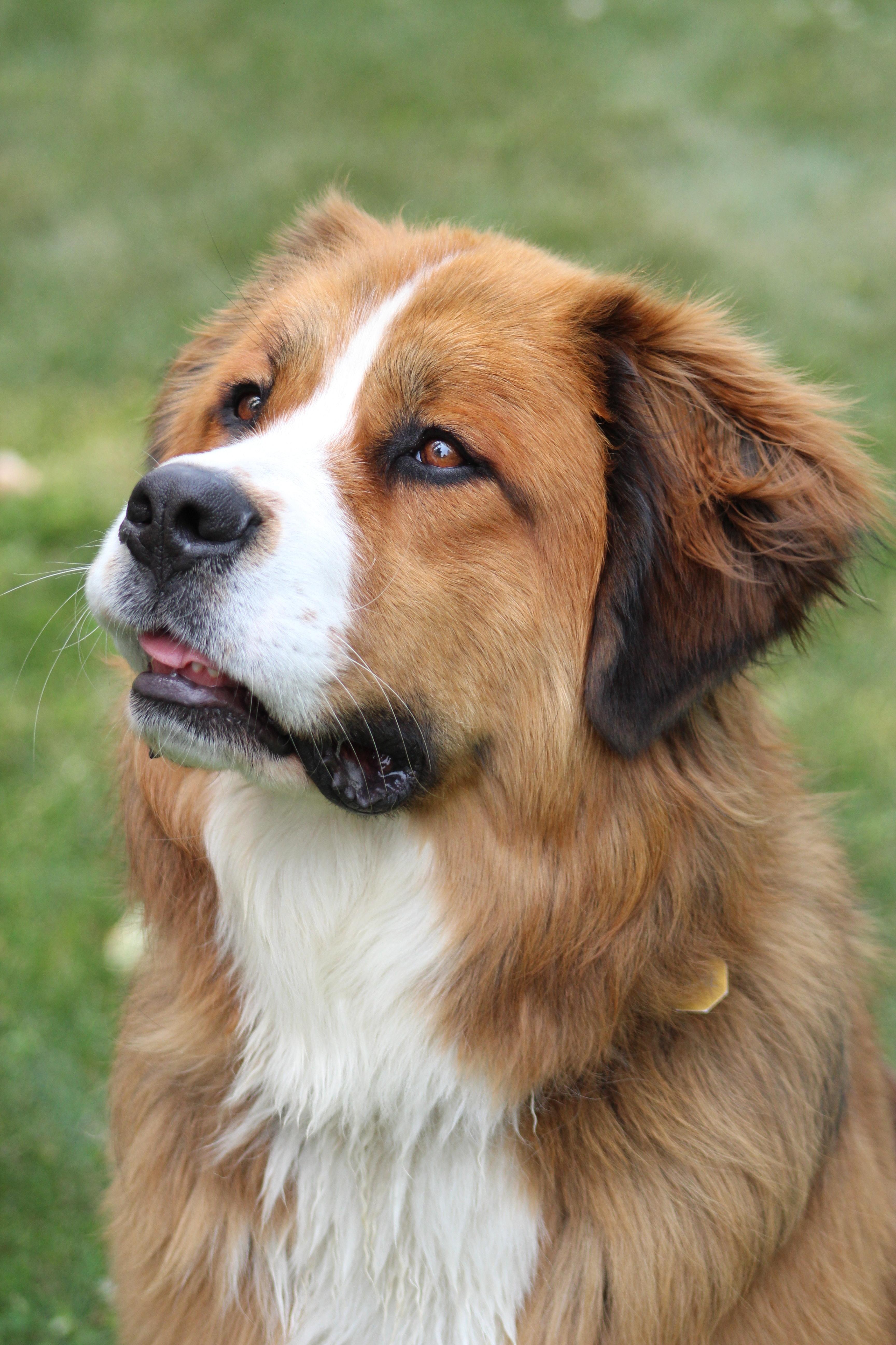 Watchdog A Closer Look at its Functions and Troubleshooting AP PGECET