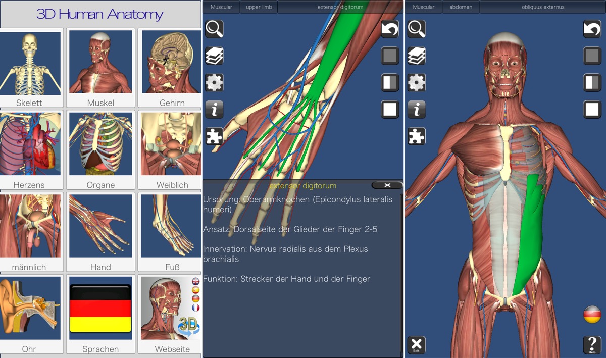 Anatomie Bilder Kostenlos