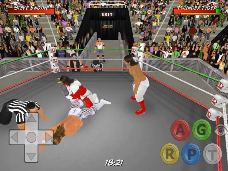 Wrestling Revolution 3D (iOS Review)