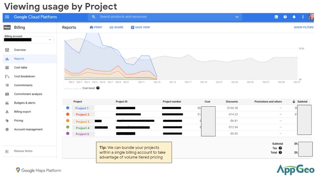 Stay in Budget on Your Google Maps Projects AppGeo