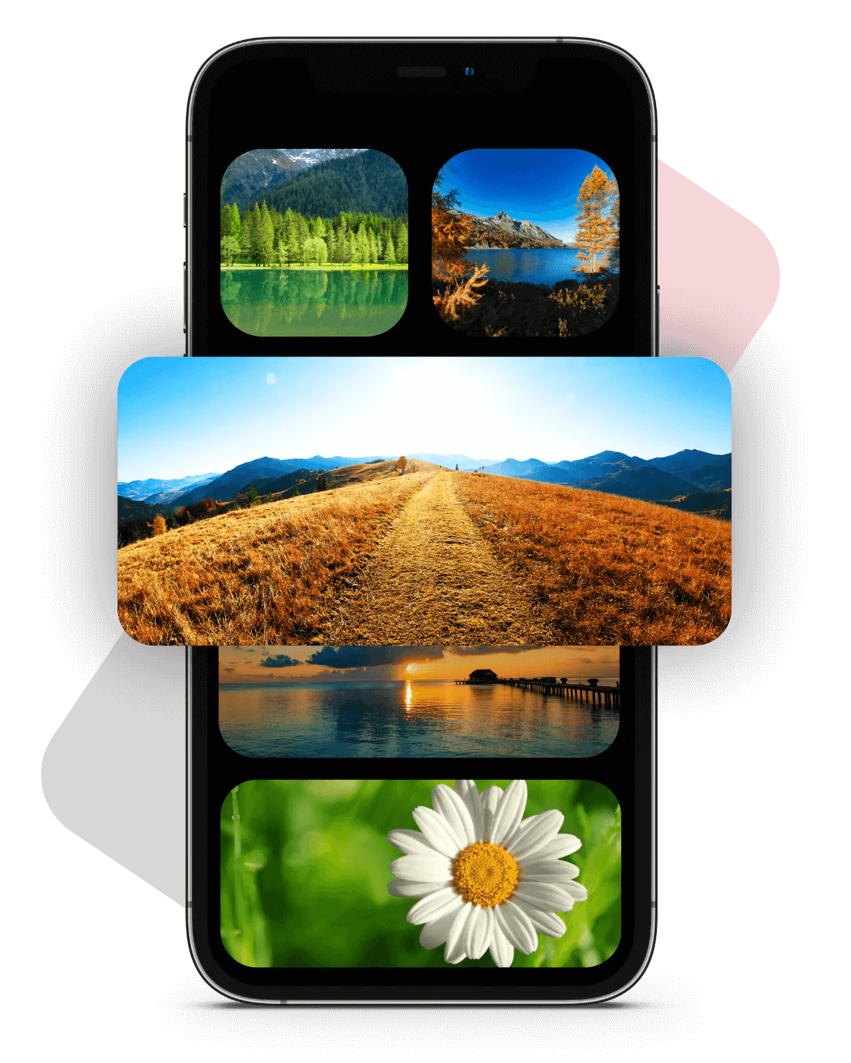 Color Widget for iPhone Customize Your Home Screen with Cool Widgets
