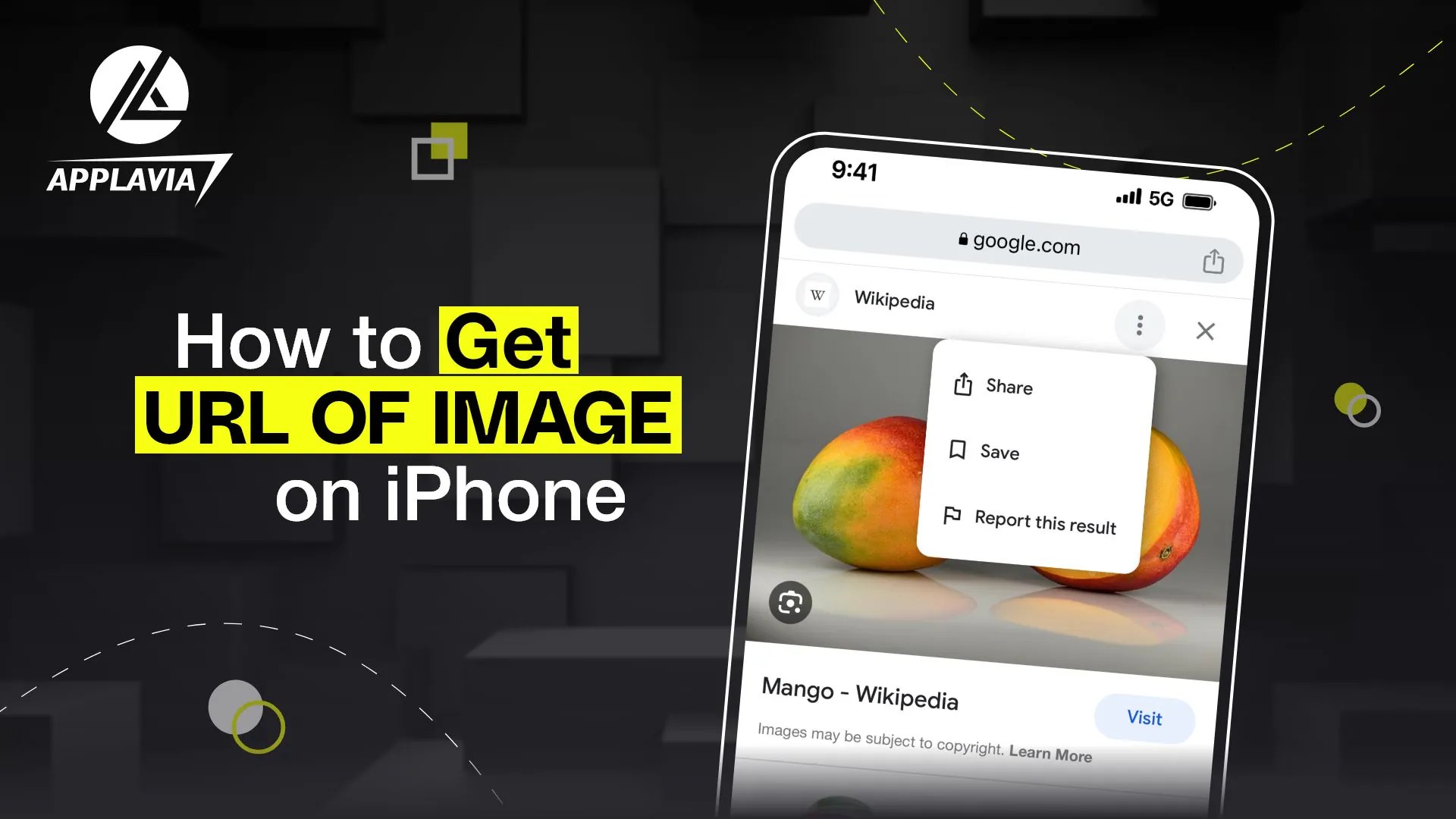 How to Get URL of Image on iPhone Full Guide Applavia