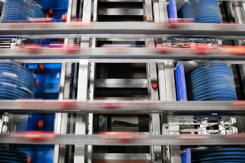 About Apple King Yakima, WA Conventional and Organic Fruit Packer