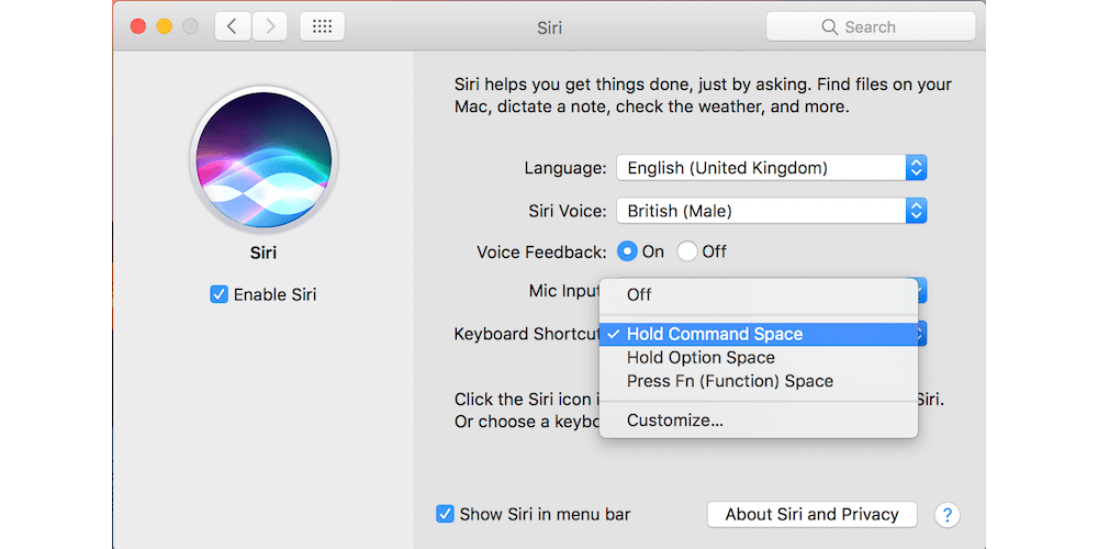 How to Use Siri On the Mac