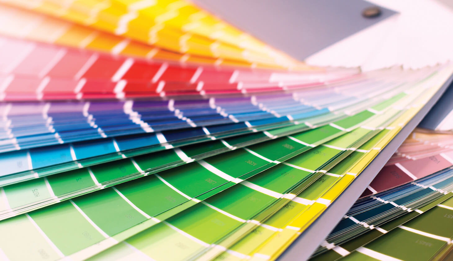 Reveal Your Brand’s True Colors Appleton Creative