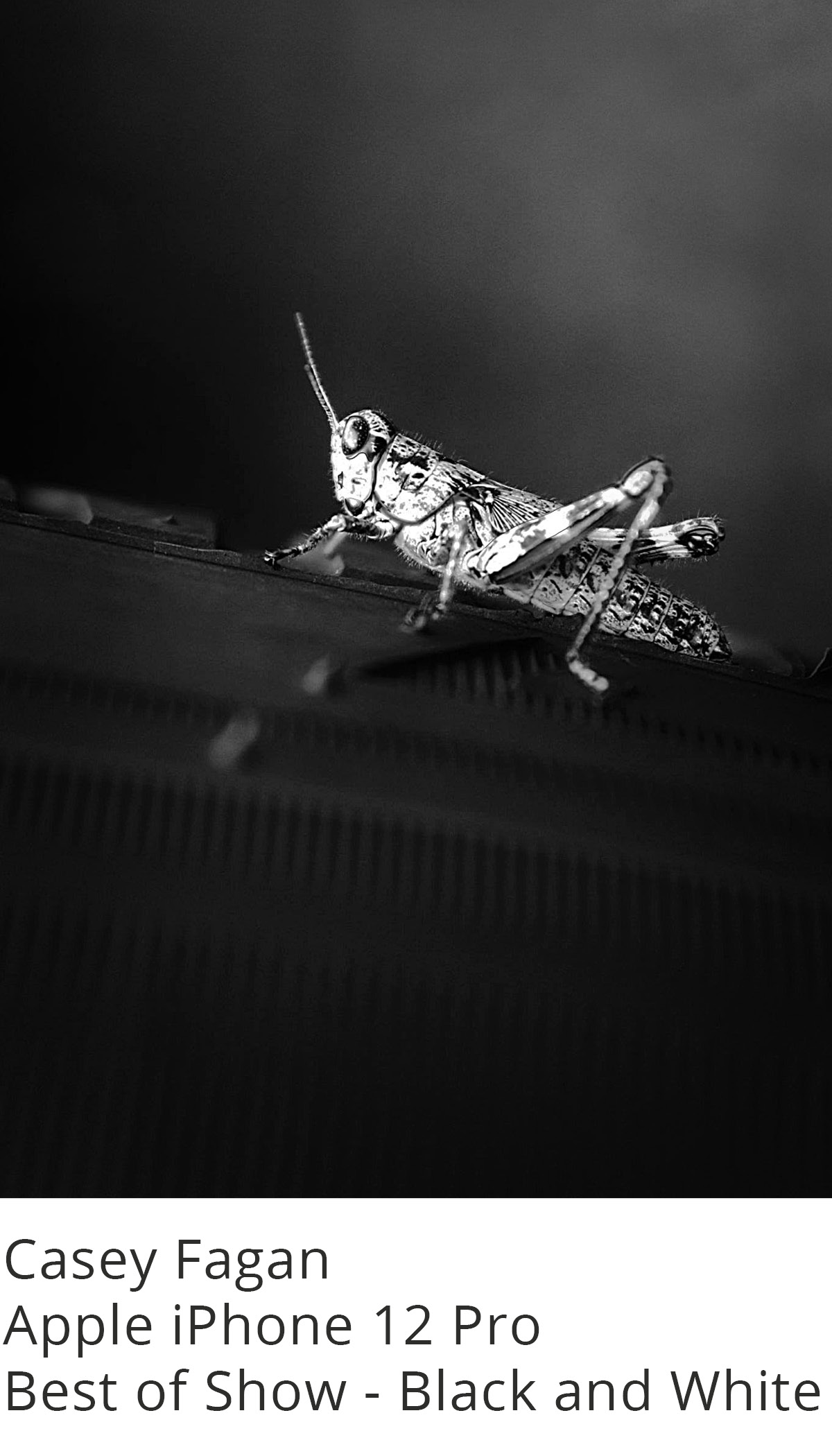 Mobile Photography Contest & Exhibition Appleton Museum of Art