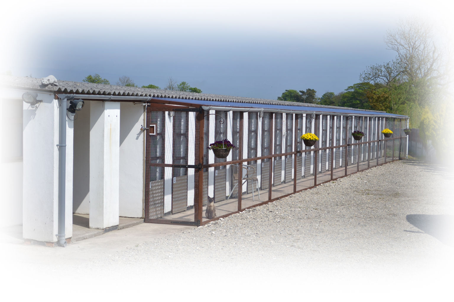 Home Appletree Cottage Cattery