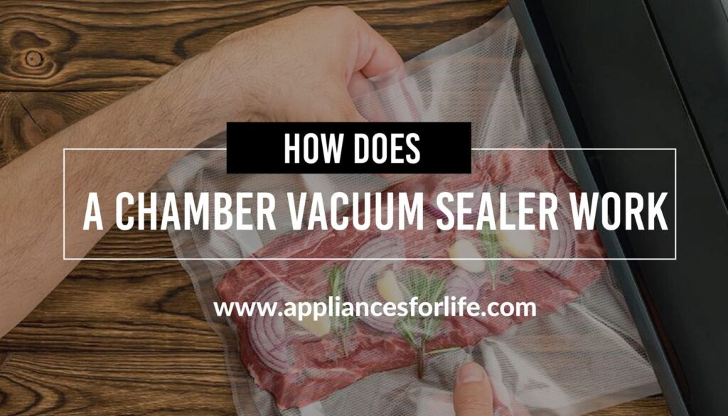 How Does a Chamber Vacuum Sealer Work? Appliances For Life