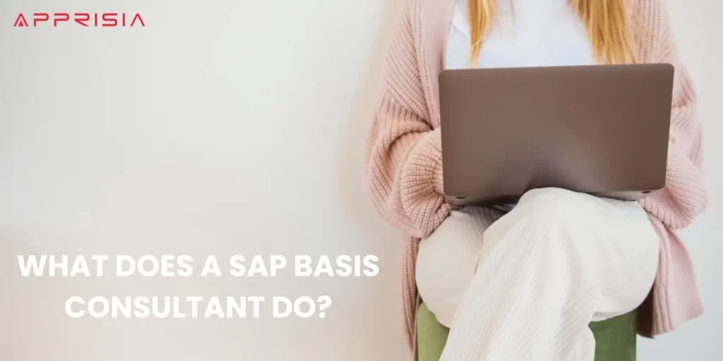 What does a SAP BASIS Consultant do?