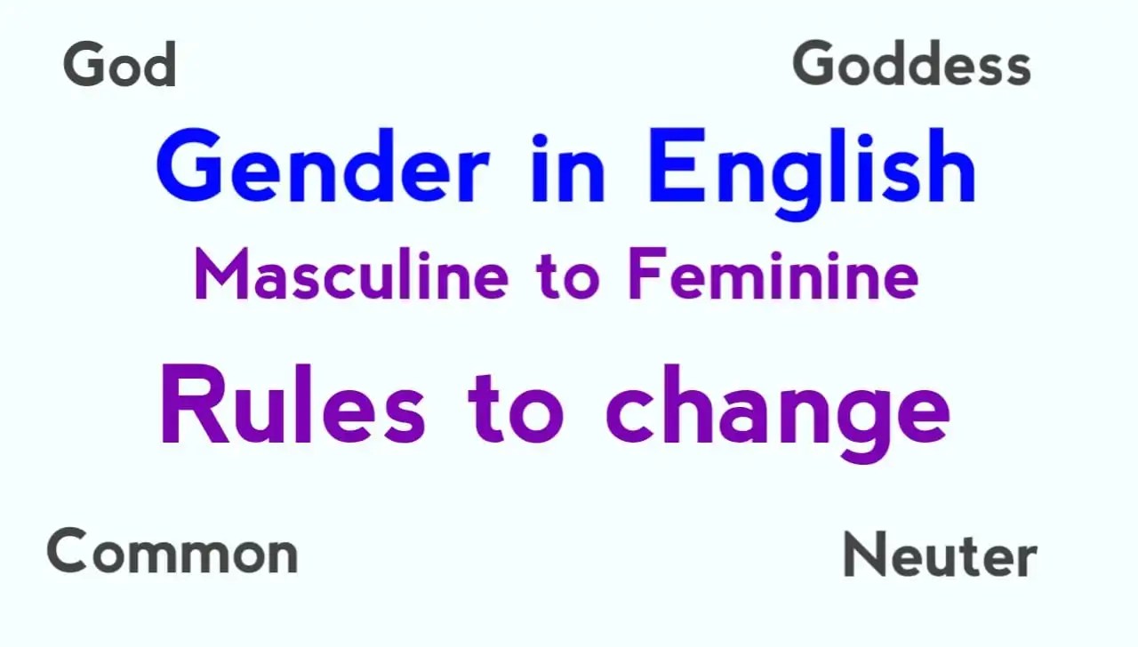 Gender in English Grammar Definition and How to Change